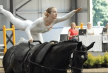 What Is The History Of Equestrian Vaulting?