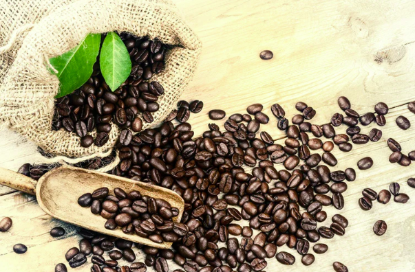 Rich Essence of Organic Coffee