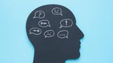 Internal Family Systems (IFS) therapy