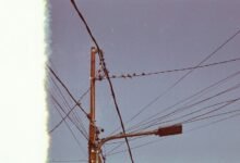 support line contact number