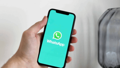 How to Run a Poll or Survey on Your WhatsApp Page