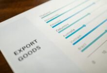 bolly4u trade platform overview