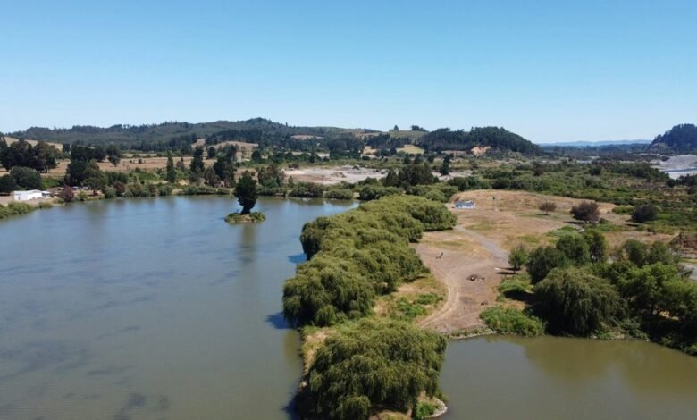 bolly4u tread information overview