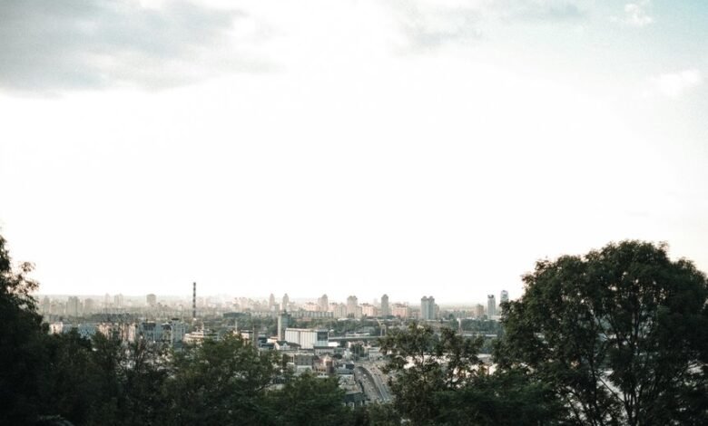 digital innovation and creativity