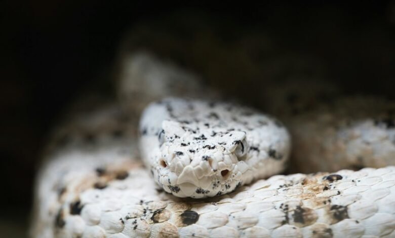 strategic growth in industry