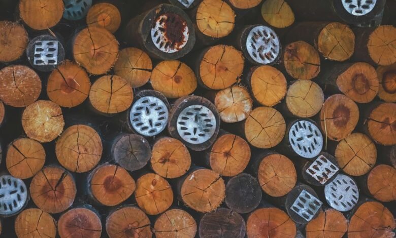 trace vision start digital caller patterns