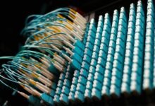 data audit identifiers and patch name