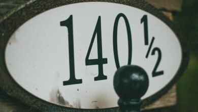 mixed entry audit multiple numeric entries listed