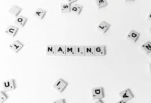 network record check identifying multiple coded terms