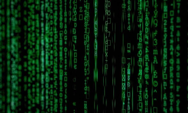 system identifiers and usernames encoded
