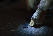 number registry evidence for multiple ids