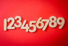 phone numbers for verification