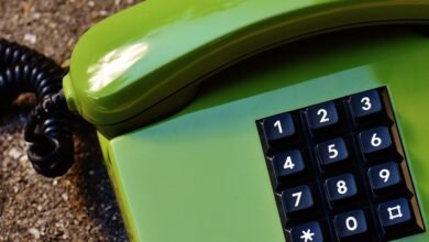 phone numbers identity search results