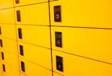 public number profiles requested now