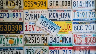registered numbers profile inquiry list